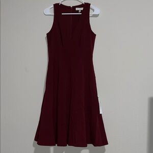 Dress the Population Red Sleeveless A-Line Mini Dress